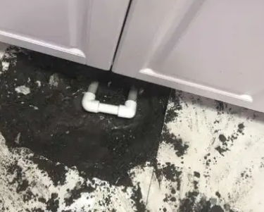 延边查漏水哪家好